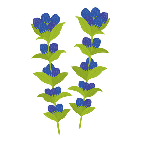 Illustration of RyÅ«bÅのイラスト素材