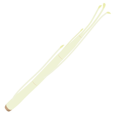 Illustration of soft white udderのイラスト素材