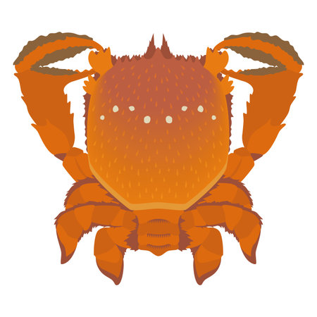 Illustration of Asahi crabのイラスト素材