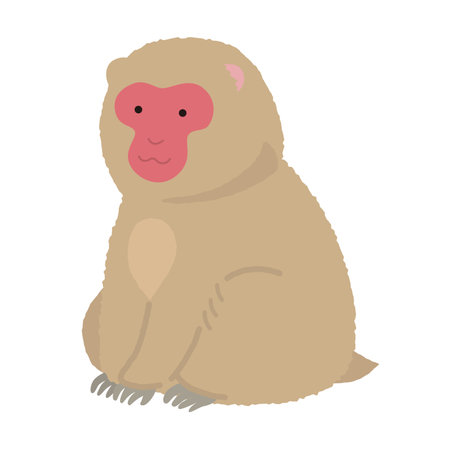 Illustration of a Japanese macaqueのイラスト素材