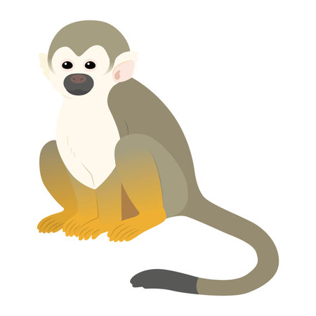 Illustration of a common squirrel monkeyのイラスト素材