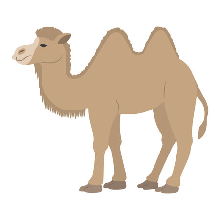 Illustration of a camelのイラスト素材