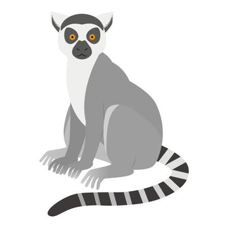 Illustration of a ring-tailed lemurのイラスト素材