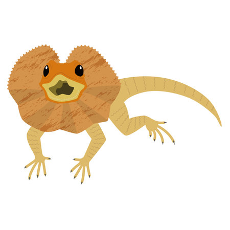 Illustration of the Erimaki lizardのイラスト素材