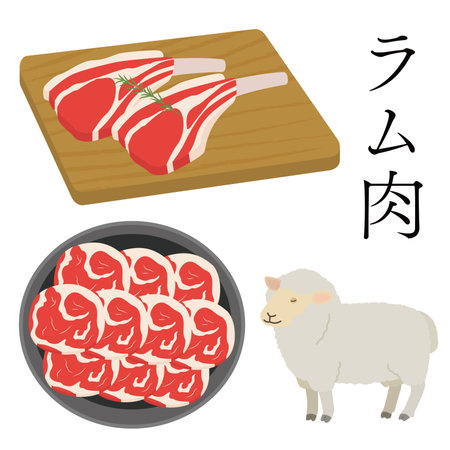Illustration of lamb meatのイラスト素材