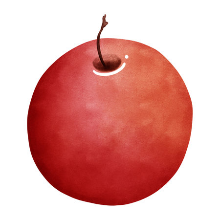 Watercolor red apple clipart.Organic watercolor fruit illustration.Fresh food illustration for kitchen and design.の写真素材