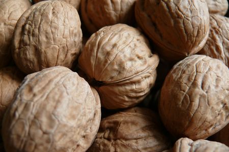  	Walnuts