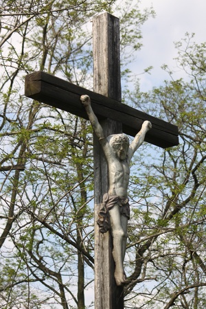 Crucifix before treesの写真素材
