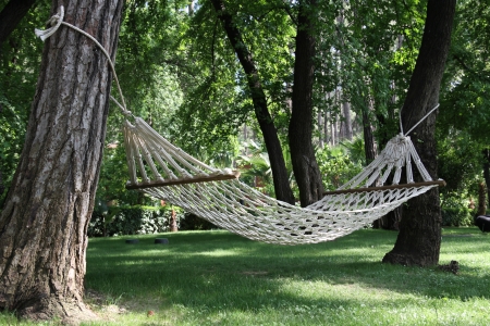 Hammock among two treesの写真素材