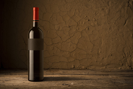Wine glass on vineyard backgroundの写真素材