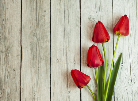 still life with tulips and cherry blossomの写真素材