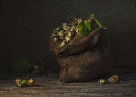 background of hops