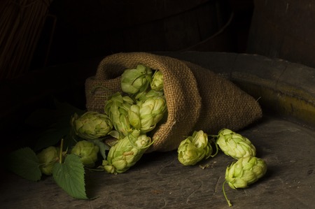 Still Life with a keg of beerの写真素材