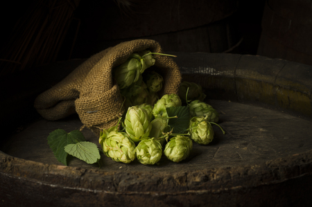 Still Life with a keg of beerの写真素材