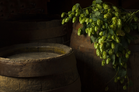 Still Life with a keg of beerの写真素材
