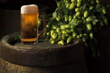 Still life with a keg of beer and hops.の写真素材