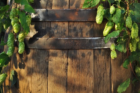 Still Life with a keg of beer and draft beer by the glass.の写真素材
