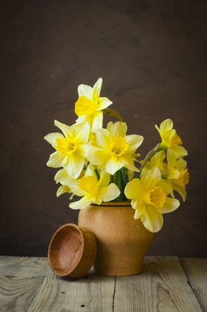 still life with a bouquet of narcissusの写真素材