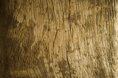 Moth-eaten old wooden background with blank spaceの写真素材