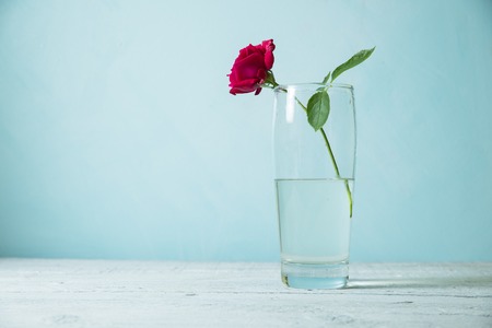 Red rose on wooden table, texture, designの写真素材