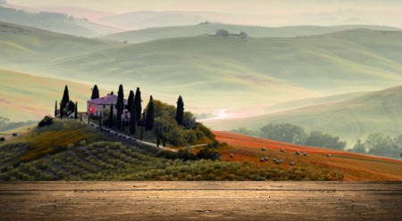 Red wine with barrel on vineyard in green Tuscany, Italyの写真素材