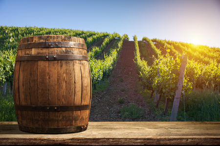Red wine with barrel on vineyard in green Tuscany, Italy,の写真素材