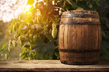 glass of beer with hop cones weather, woodenの写真素材