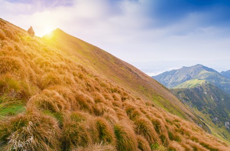 Mountain ranges of Ukraine with high alpineの写真素材