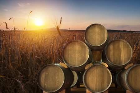 Beer keg with glasses of beer on rural countryside backgroundの写真素材