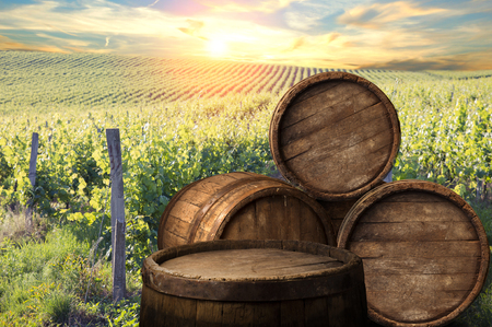 Red wine with barrel on vineyard in green Tuscany, Italy.の写真素材