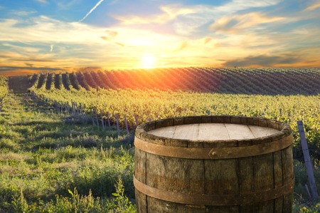 Red wine with barrel on vineyard in green Tuscany, Italy.の写真素材