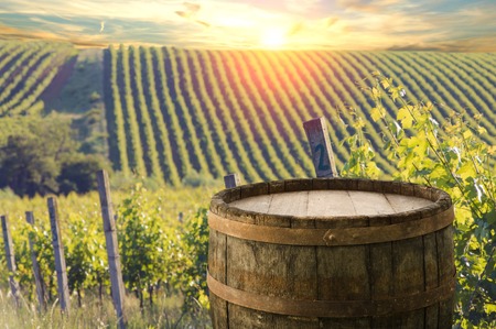 Red wine with barrel on vineyard in green Tuscany, Italy.の写真素材