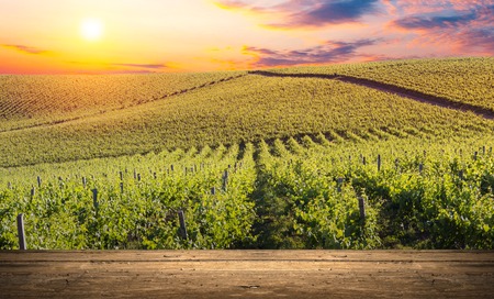 Red wine with barrel on vineyard in green Tuscany, Italy.の写真素材