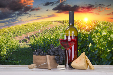Glass of red wine on the terrace vineyard in Lavaux region, Switzerlandの写真素材
