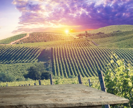Red wine with barrel on vineyard in green Tuscany, Italy.の写真素材
