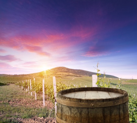 Red wine with barrel on vineyard in green Tuscany, Italy.の写真素材