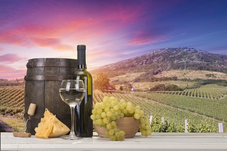 Red wine with barrel on vineyard in green Tuscany, Italy.の写真素材