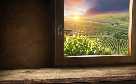White wine with barrel on vineyard in Chianti, Tuscany, Italyの写真素材