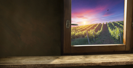 Red wine with barrel on vineyard in green Tuscany, Italyの写真素材