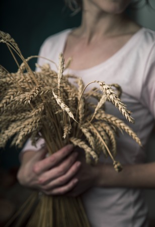 pretty blonde girl holds in hands ears of wheatの写真素材