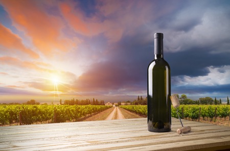 White wine with barrel on vineyard in Chianti, Tuscany, Italyの写真素材