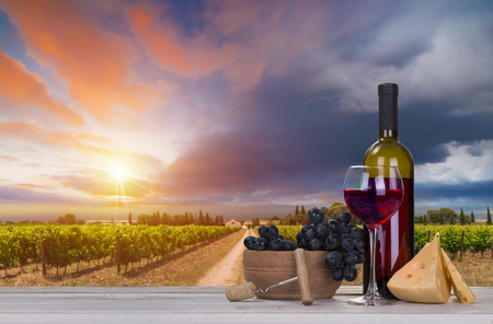 White wine with barrel on vineyard in Chianti, Tuscany, Italyの写真素材