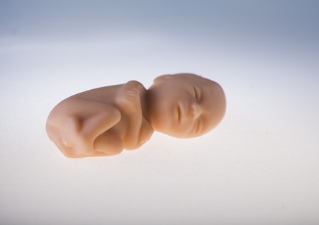 The embryo in a womans hands. Concept embryo and abortionの写真素材