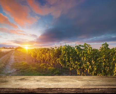 Red wine with barrel on vineyard in green Tuscany, Italyの写真素材