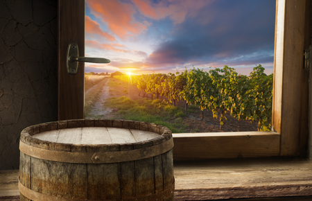 Red wine with barrel on vineyard in green Tuscany, Italyの写真素材