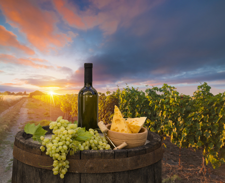 Red wine with barrel on vineyard in green Tuscany, Italyの写真素材