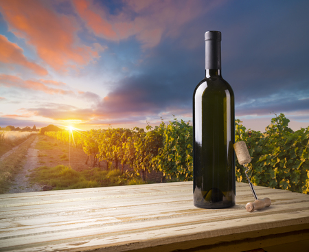 Red wine with barrel on vineyard in green Tuscany, Italyの写真素材