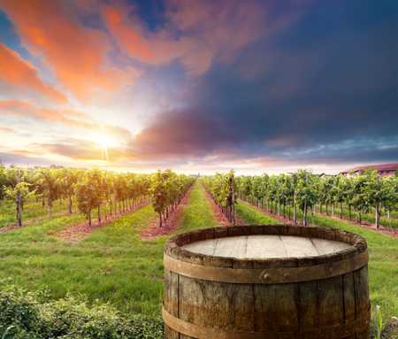Red wine with barrel on vineyard in green Tuscany, Italyの写真素材