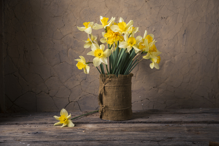Amazing grunge background with Yellow flowersの写真素材