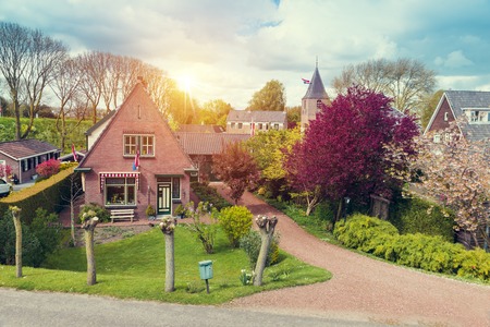 traditional Netherlands Holland dutch scenery with one typical windmill and tulips, Netherlands countrysideの写真素材